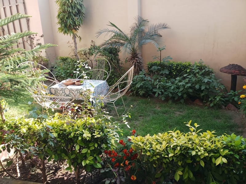 Commercial Available for Rent Surrounding area agricultural lands MULTAN 2