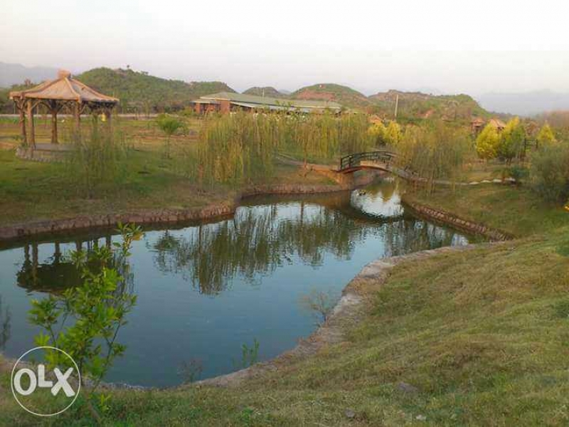 Commercial Available for Sale BharaKahu ISLAMABAD 