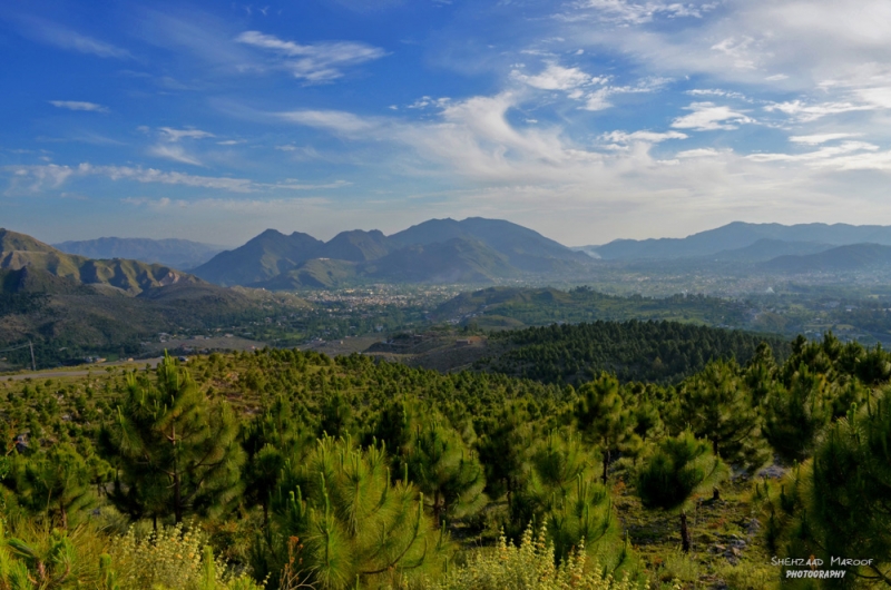 Plot Available for Sale Hazara Development Housing Scheme ABBOTTABAD Abbottabad Township