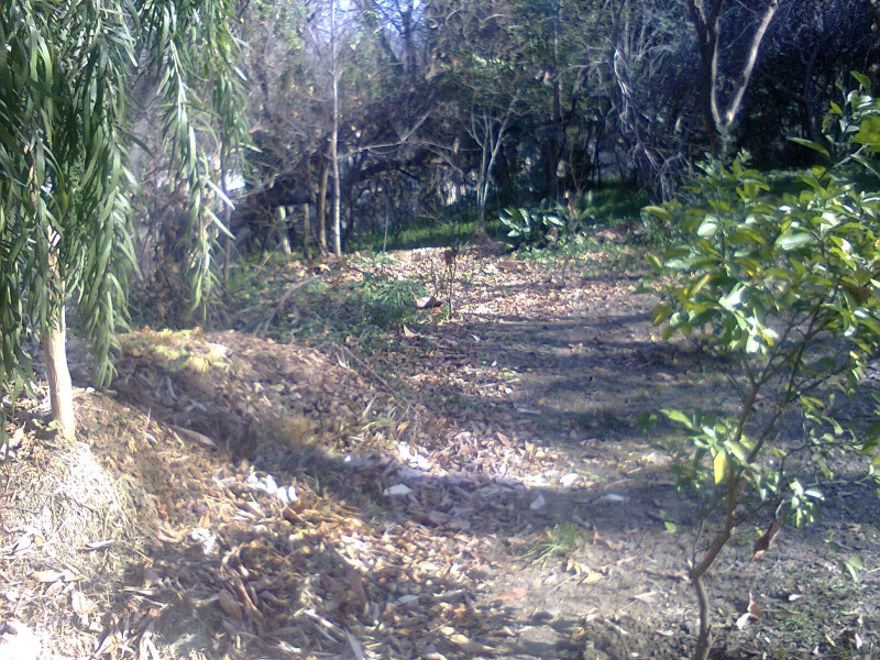 Plot Available for Sale Main city ABBOTTABAD View of the plot