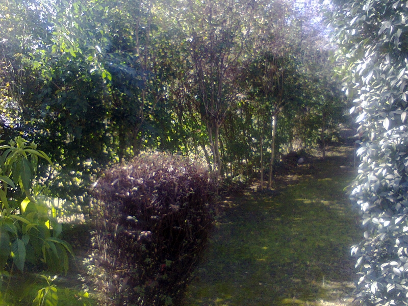 Plot Available for Sale Main city ABBOTTABAD Main view plots