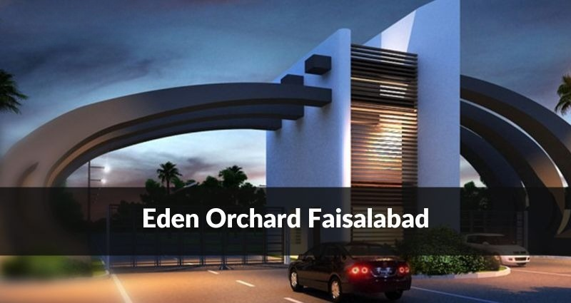Plot Available for Sale Sargodha Road FAISALABAD 
