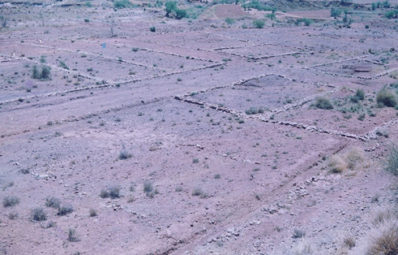 Plot Available for Sale Airport New ISLAMABAD 