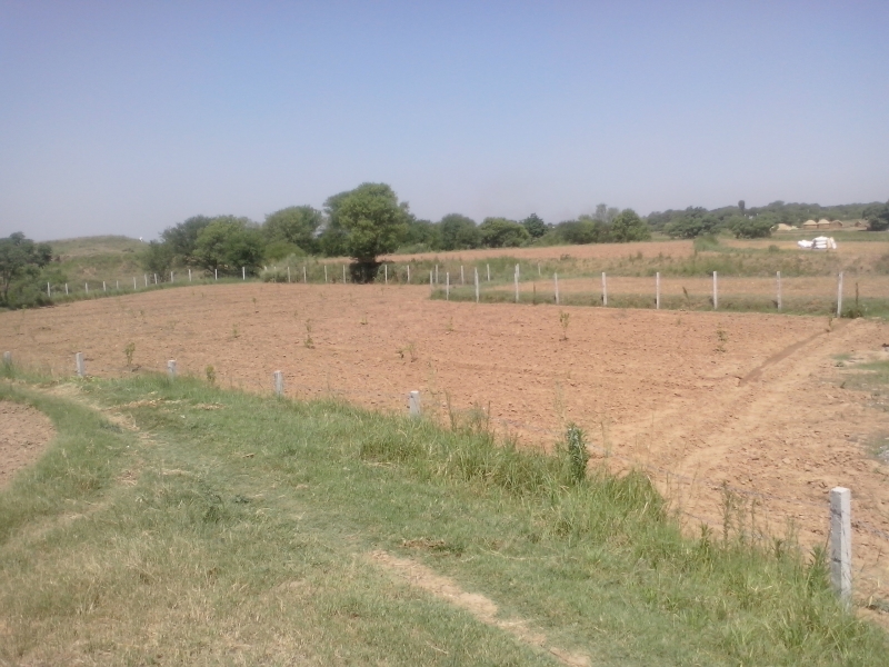 Plot Available for Sale Airport New ISLAMABAD 