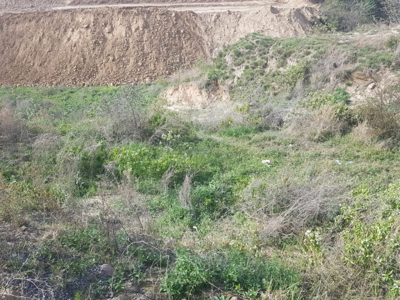 Plot Available for Sale B-17 Sector ISLAMABAD 