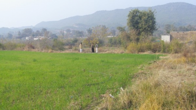 Plot Available for Sale BharaKahu ISLAMABAD 
