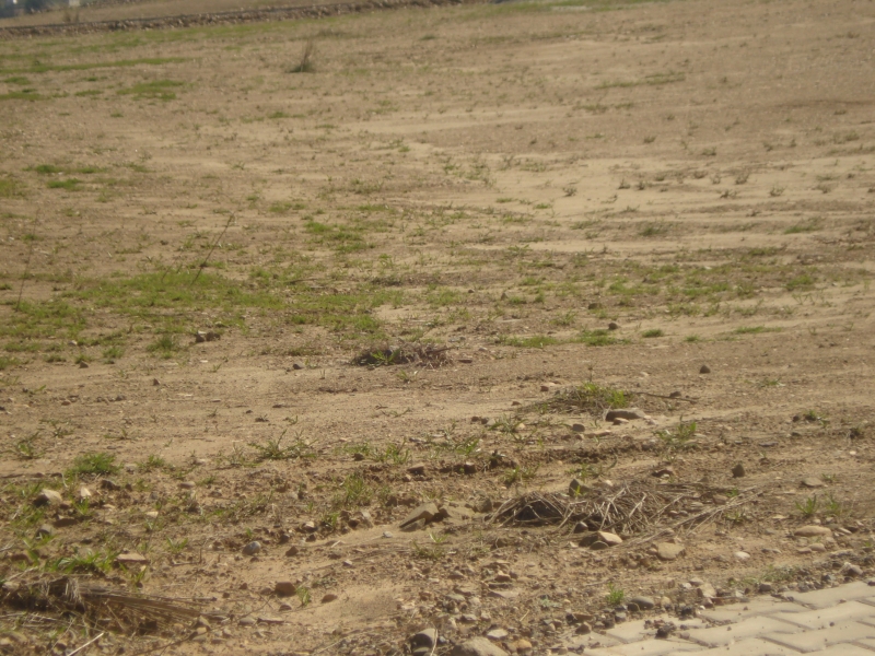 Plot Available for Sale DHA Defence Housing Authority ISLAMABAD 