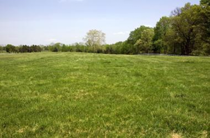 Plot Available for Sale Korang Town ISLAMABAD Korang Town Plot For Sale