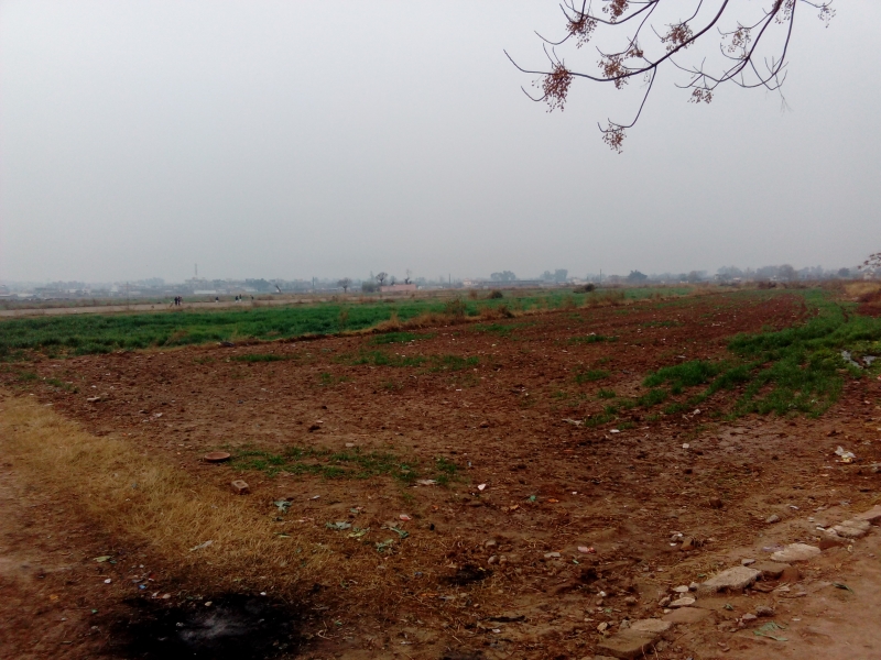 Plot Available for Sale Other Areas ISLAMABAD Fields
