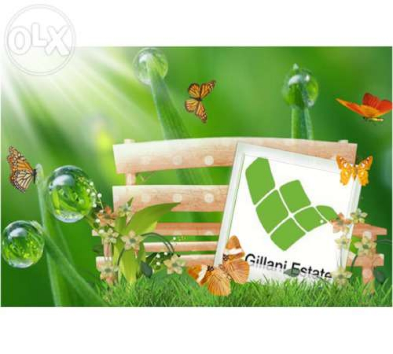 Plot Available for Sale P.E.C.H.S ISLAMABAD 