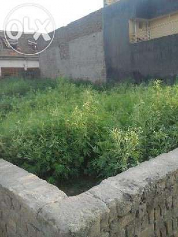 Plot Available for Sale Zone 5 ISLAMABAD 