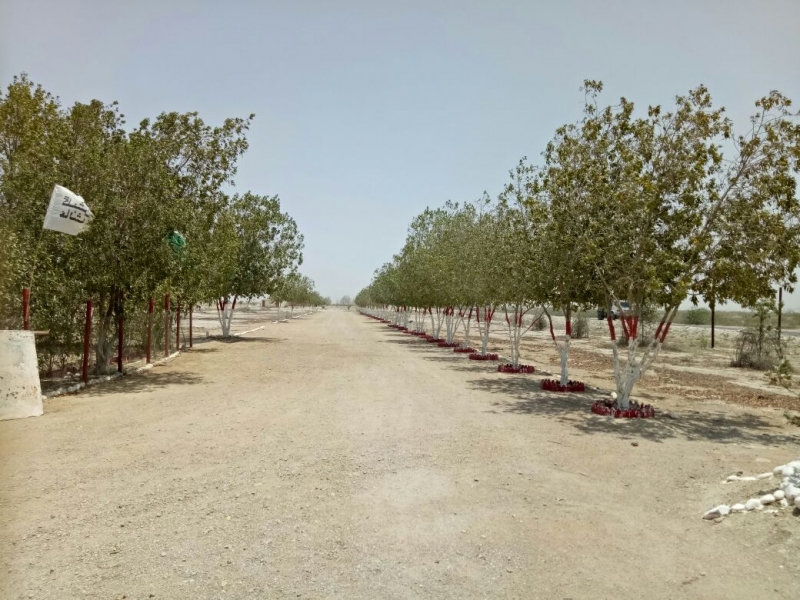 Plot Available for Sale A.F.O.H.S KARACHI Gulshan e Aysha