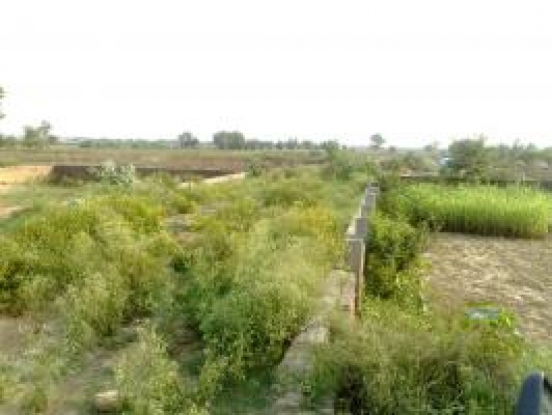 Plot Available for Sale DEFENCE HOUSING AUTHORITY LAHORE RESIDENTIAL PLOT FOR SALE URGENTLY IN DHA PHASE 9