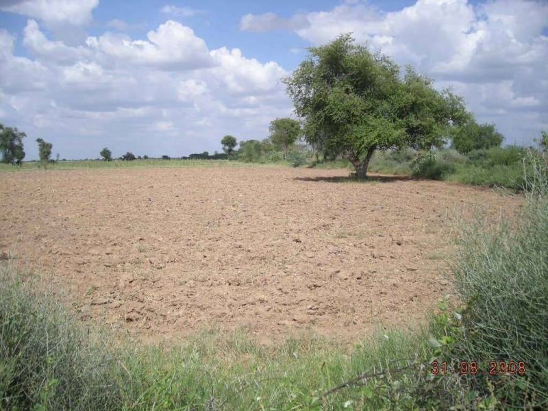 Plot Available for Sale Multan Road LAHORE 