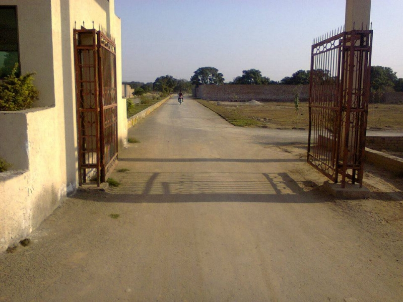 Plot Available for Sale Sakhi Sultan Colony MULTAN 
