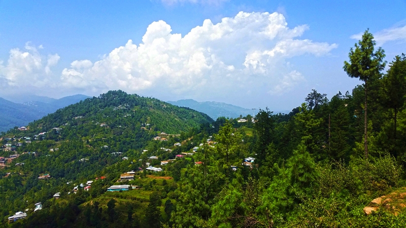 Plot Available for Sale Patriata MURREE 