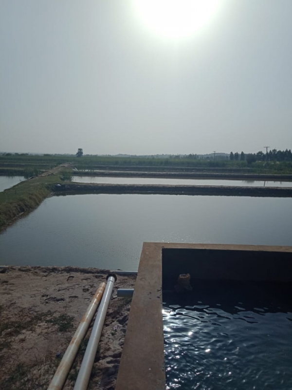 Plot Available for Sale Chakri Road RAWALPINDI 