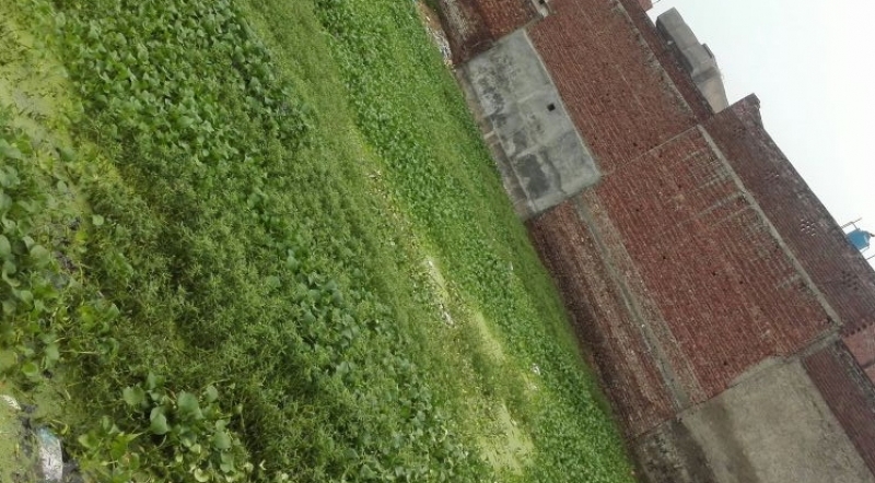 Plot Available for Sale Other Location SIALKOT 