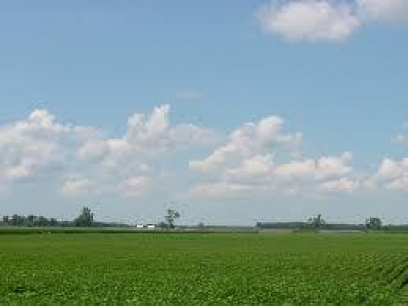 Plot Available for Sale Surrounding area agricultural lands SIALKOT 